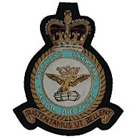 RAF Logistics Command Blazer Badge